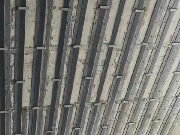 博尔塔拉桥梁预应力碳纤维板施工